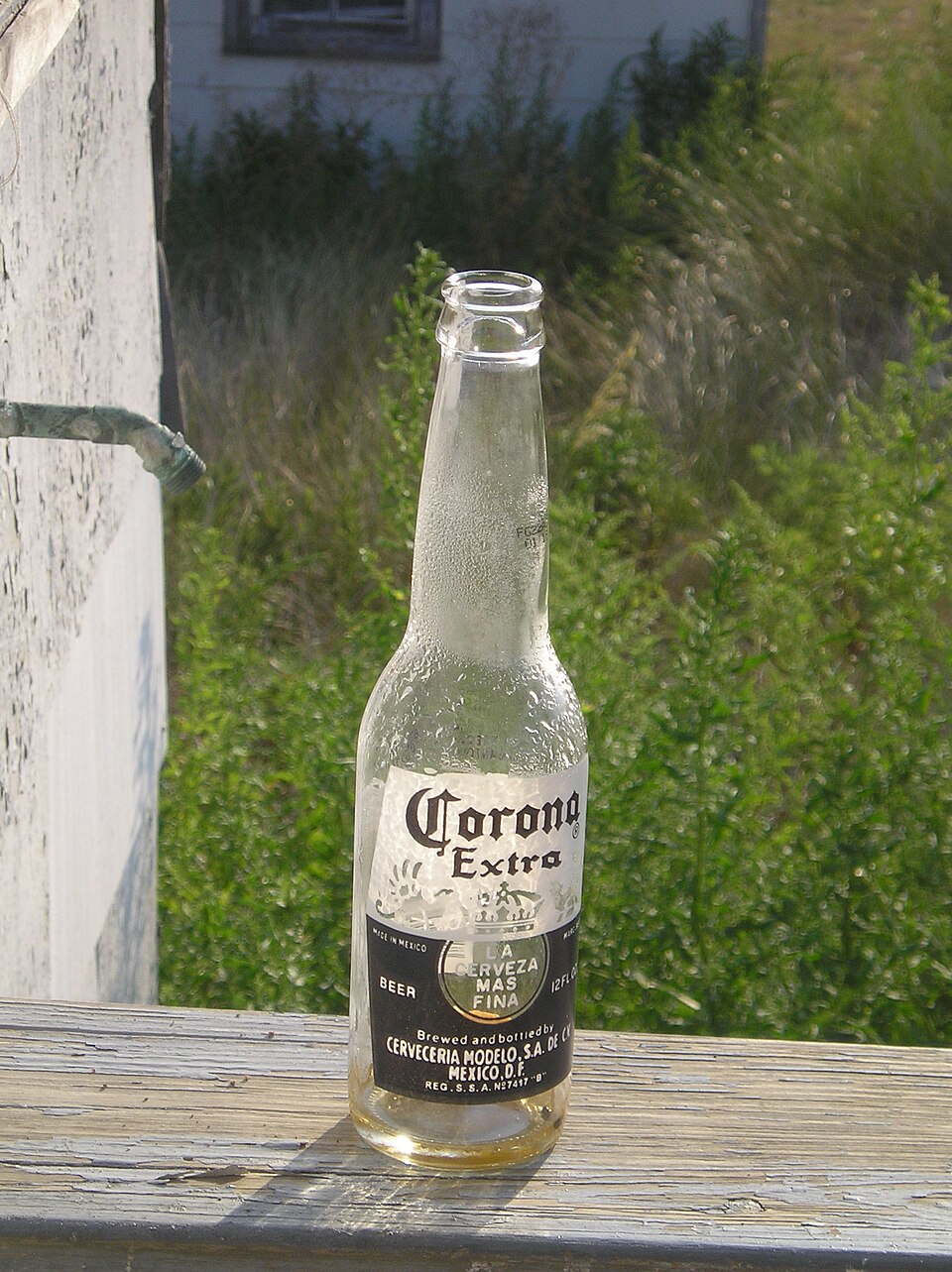 Corona