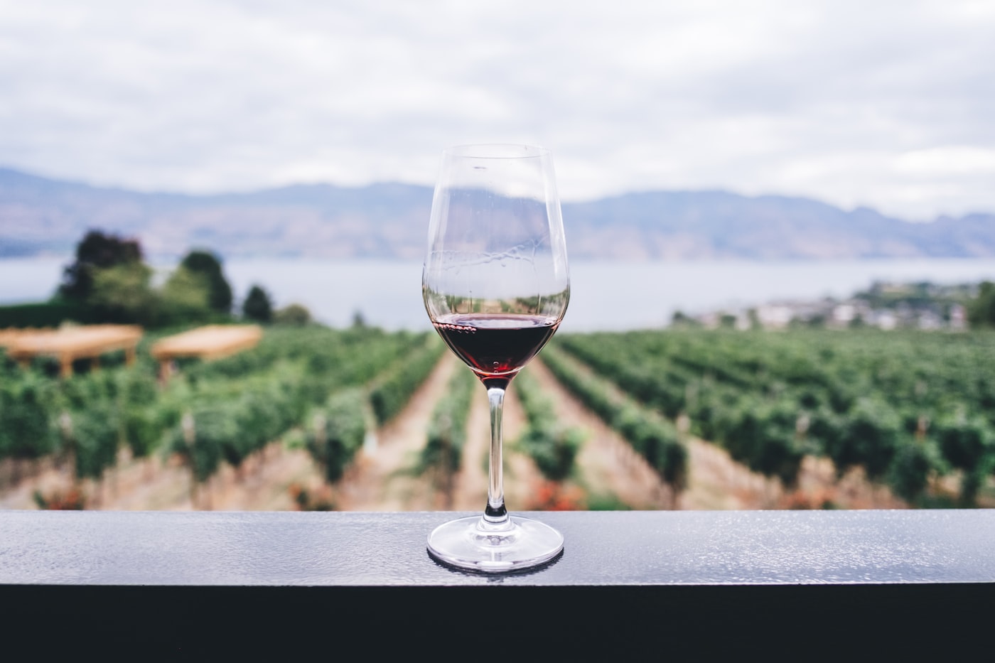 Perfect Wine Pairings: Enhancing Your Italian Dining Experience in Hobart